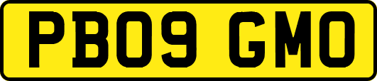 PB09GMO