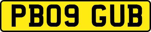 PB09GUB