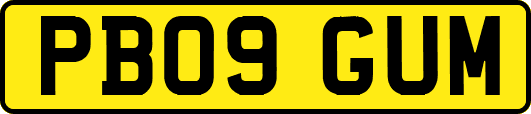 PB09GUM