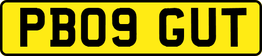 PB09GUT