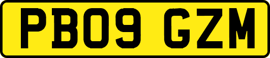 PB09GZM