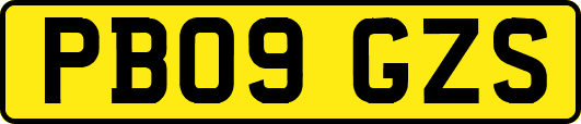 PB09GZS