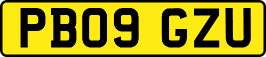 PB09GZU