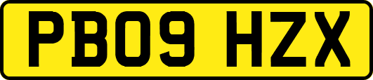 PB09HZX