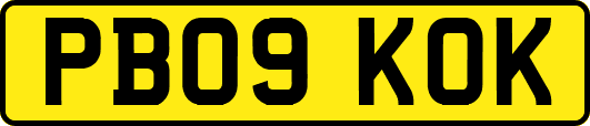 PB09KOK