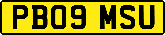 PB09MSU