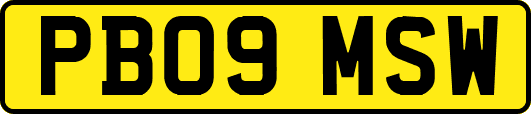 PB09MSW