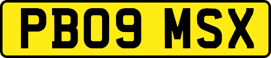 PB09MSX