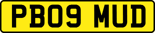 PB09MUD
