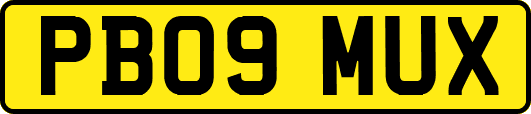 PB09MUX