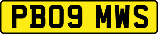 PB09MWS