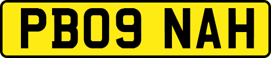 PB09NAH