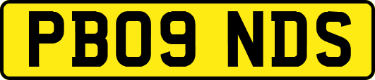 PB09NDS