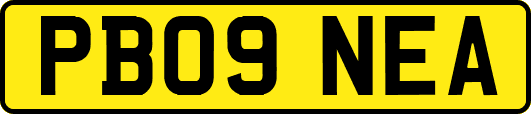 PB09NEA