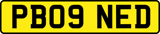 PB09NED