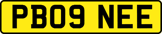PB09NEE