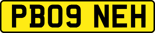 PB09NEH