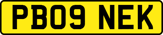 PB09NEK