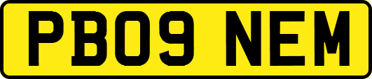 PB09NEM