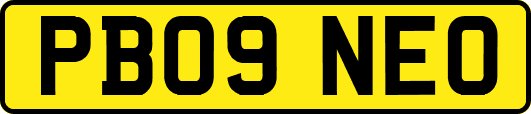 PB09NEO