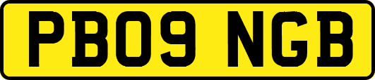 PB09NGB