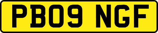 PB09NGF