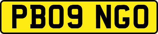 PB09NGO