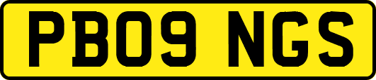 PB09NGS