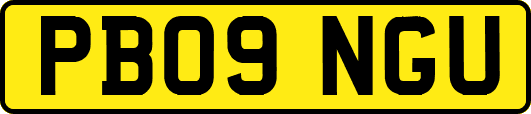 PB09NGU
