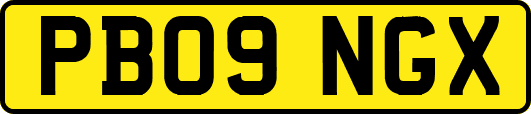 PB09NGX