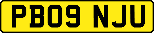 PB09NJU
