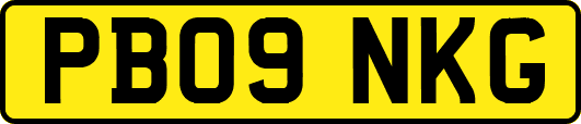 PB09NKG