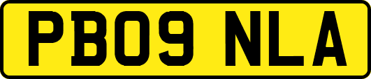 PB09NLA