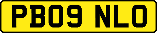 PB09NLO