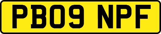 PB09NPF