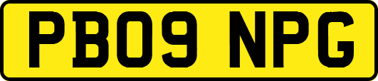 PB09NPG