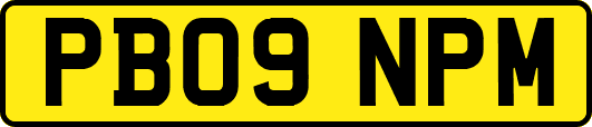 PB09NPM