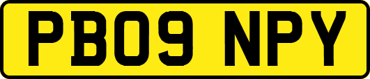 PB09NPY
