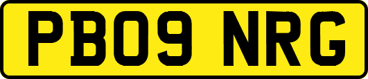 PB09NRG