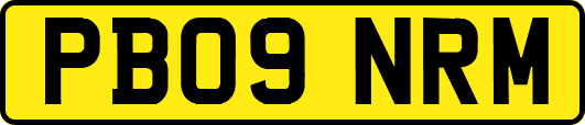 PB09NRM