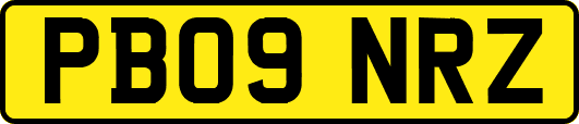 PB09NRZ
