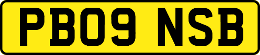 PB09NSB