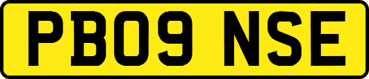 PB09NSE