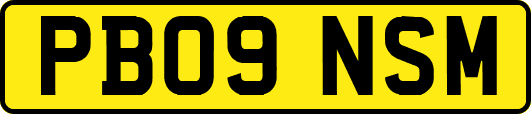PB09NSM
