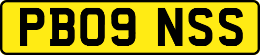 PB09NSS