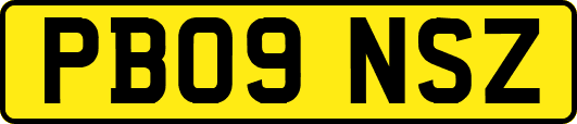PB09NSZ