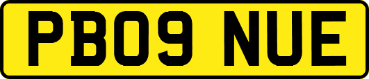 PB09NUE
