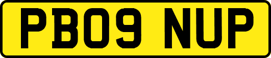PB09NUP