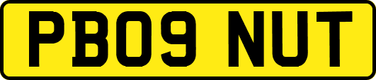 PB09NUT