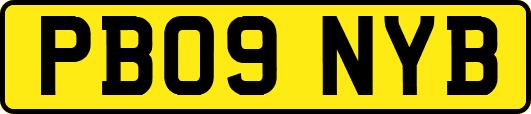 PB09NYB